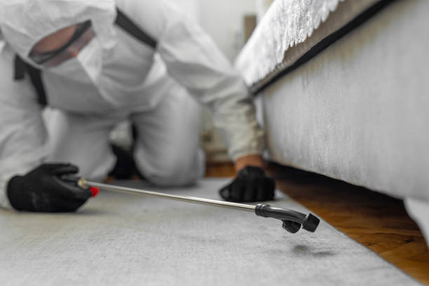 Professional Ant Control technician working in La Blanca, TX