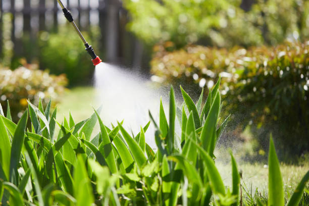 24/7 Emergency Ant Control experts in La Blanca, TX